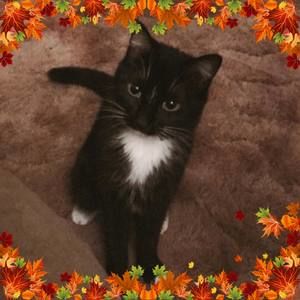 Meet your Posher, Tina